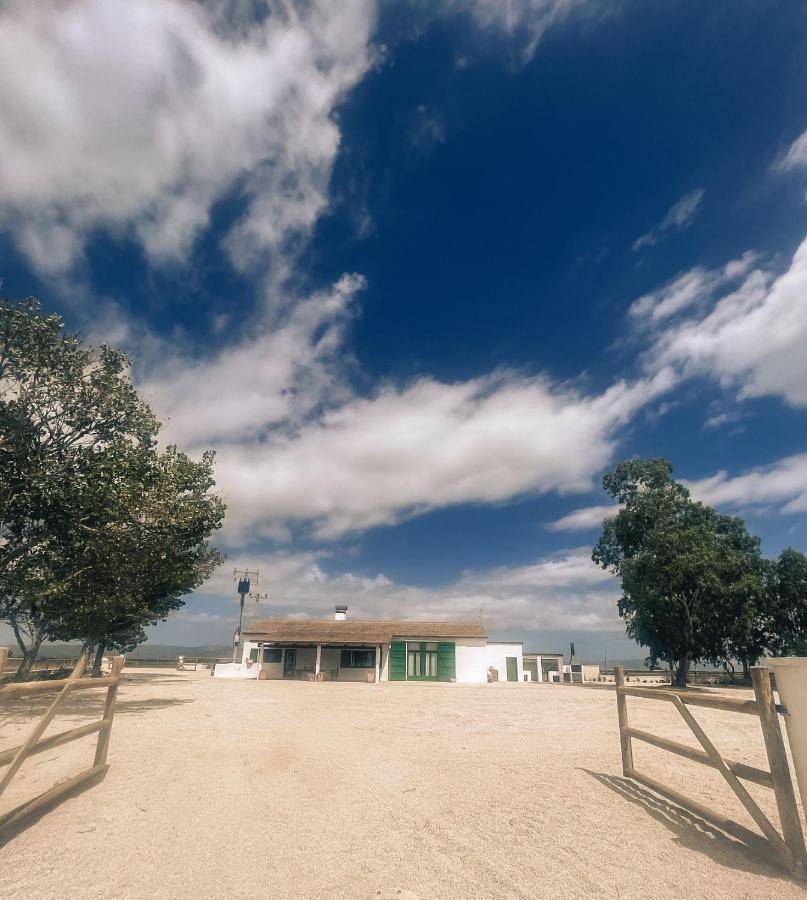 Masia Blanca Deltebre Luaran gambar
